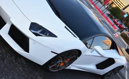 White and Black Lamborghini